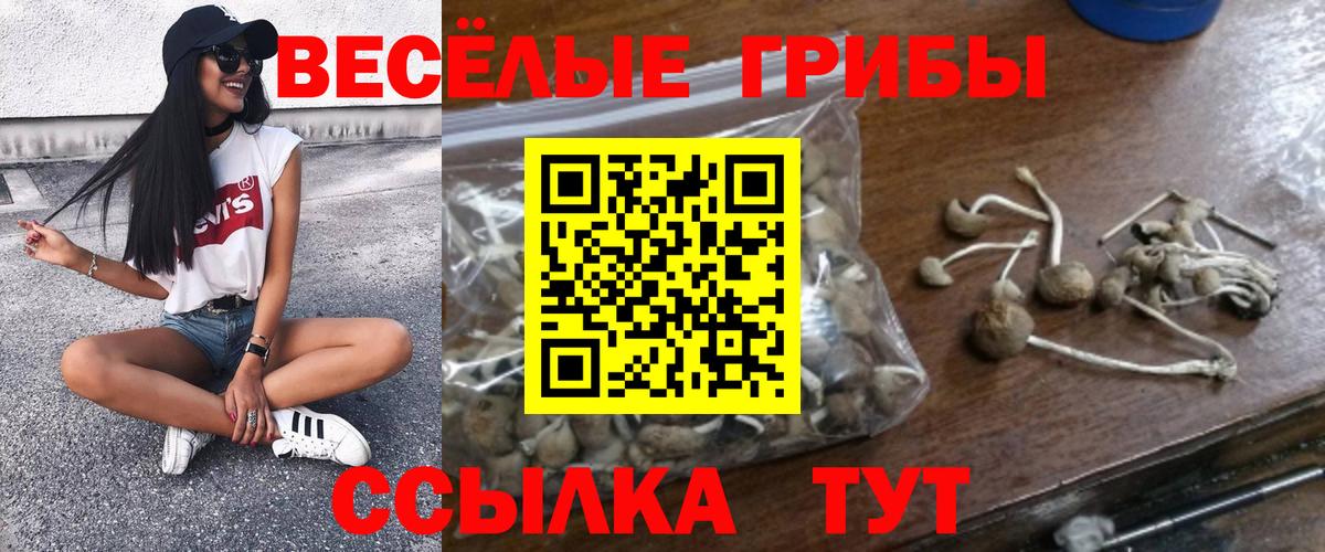 Галлюциногенные грибы мухоморы  Вход с VPN  Псилоцибиновые грибы Psilocybine cubensis  сколько стоит  Санкт-Петербург 